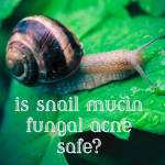 is snail mucin fungal acne safe