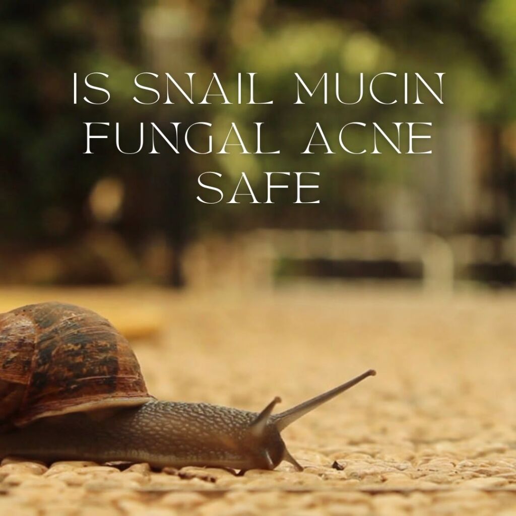 is snail mucin fungal acne safe?